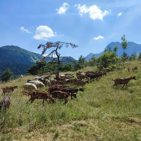 Les Cimes Gresse-en-Vercors